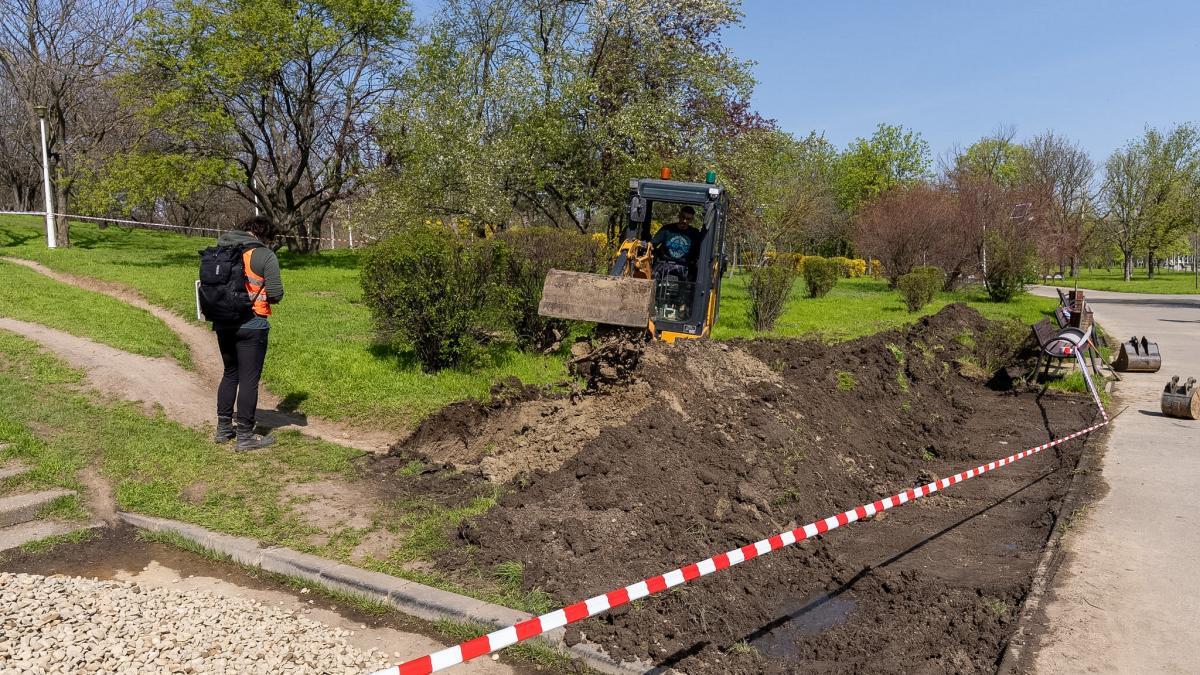 In Parcul Tineretului va fi amenajata prima gradina de ploaie din Bucuresti Ce inseamna si cum va