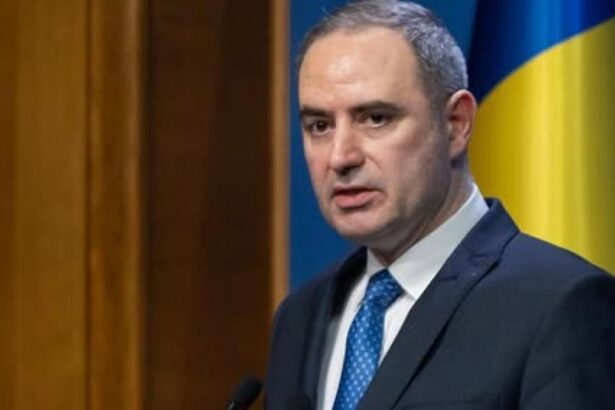 Nazare sustine ca instabilitatea politica a crescut ratele dobanzilor la care Romania se imprumuta Mai