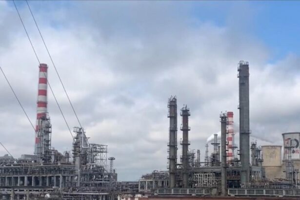 Nicusan Dan despre redeschiderea raffinarei Petrotel este o chestiune de cateva saptamani exista aspecte