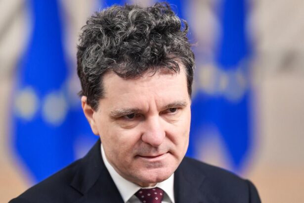 Nicuser Dan despre ancheta procurorilor in urma imaginilor publicate de Elena Lasconi Daca voi fi chemat