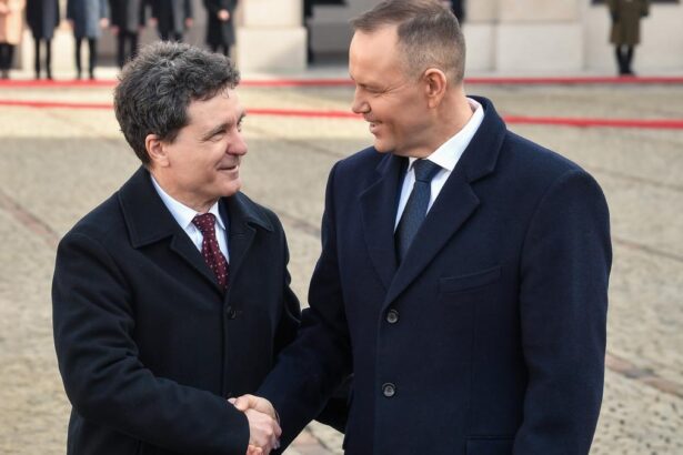 Nicuser Dan va organiza pe 13 mai la Cotroceni Summitul B9 si al Tarilor Nordice