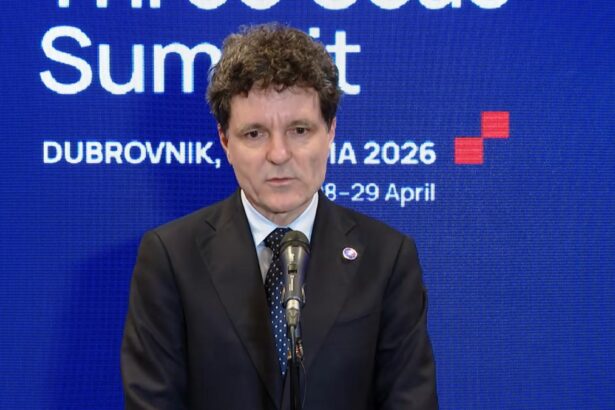 Nicusior Dan Imi doresc ca Romania sa fie condusa de forte pro occidentale Suspendarea mea nu