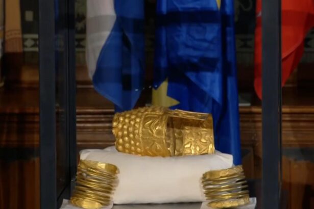 Oana Toiu Sumele primite ca despagubire pentru coiful de la Cotofeneshti vor fi returnate dupa ce