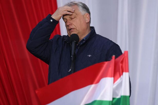 Orban a plecat dar structura sa ramane Un analist roman explica de ce victoria lui Magyar nu este