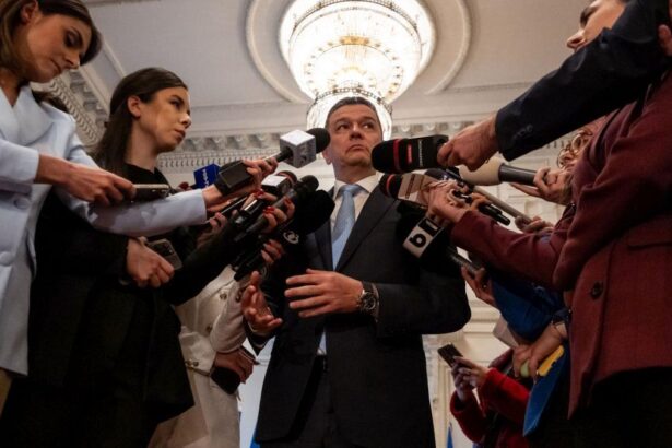 PSD anunta ca toti secretarii de stat prefectii si subprefectii partidului si au prezentat demisia