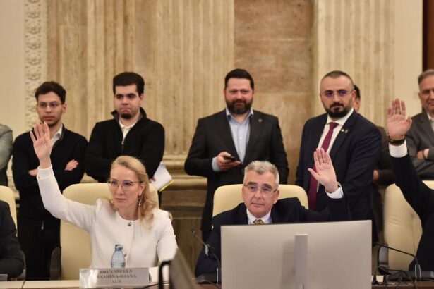PSD si AUR au sustinut amendamentul lui Peiu referitor la vanzarea actiunilor companiilor de state doar