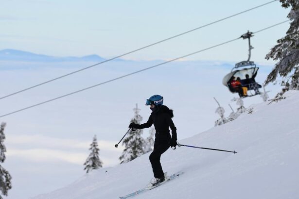 Partiile de la Transalpina Voineasa se redeschid Schiurile vor putea fi folosite pana dupa Paste