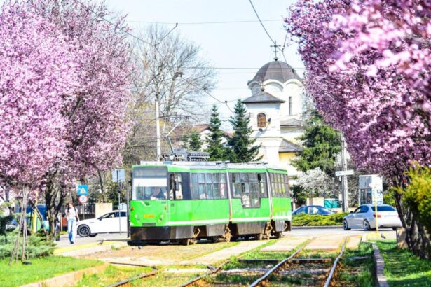 Programul STB pentru Paste 2026 Cum vor circula autobuzele si tramvaiele din Bucuresti vineri