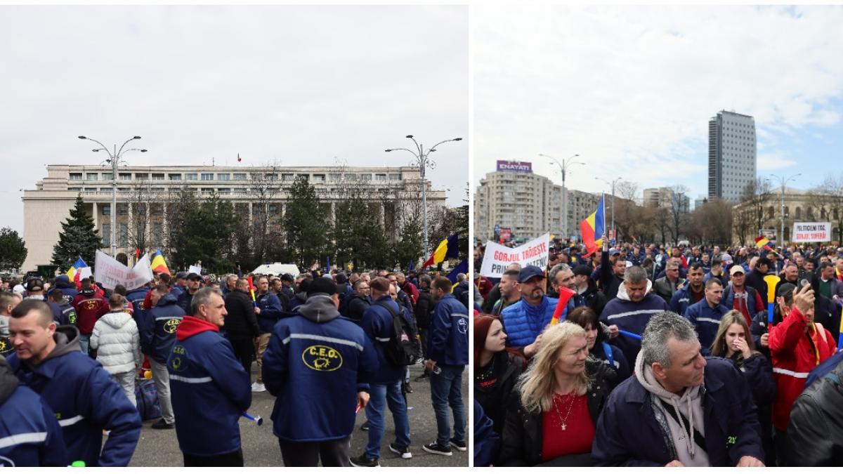 Protest in Piata Victoriei impotriva masurilor Guvernului Se estimeaza ca vor participa peste 10000 de persoane