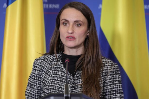 Romania a fost membru al Coalitiei pentru Ormuz Toiu discuta despre metodele de redeschidere a stramtorii