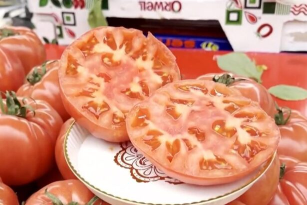 Rosii le autohtone sunt de patru ori mai scumpe decat cele importate as cumpara dar nu ma lasa