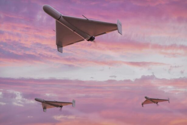 Ruii au atacat aproape de granita Alerta Ro Alert in Tulcea care ii informeaza pe oameni ca este posibil