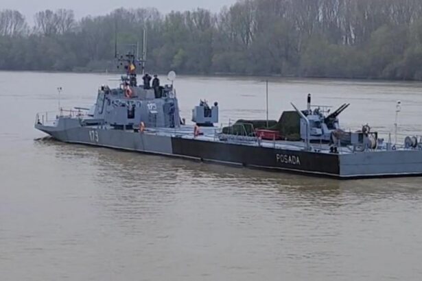 Scutul Marii 2026 Soldatii romani desfasoara exercitii privind scenariul unei invazii ruse la gura Dunarii Imagini cu vedeta