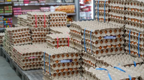 Stiri din Regiunea Locala