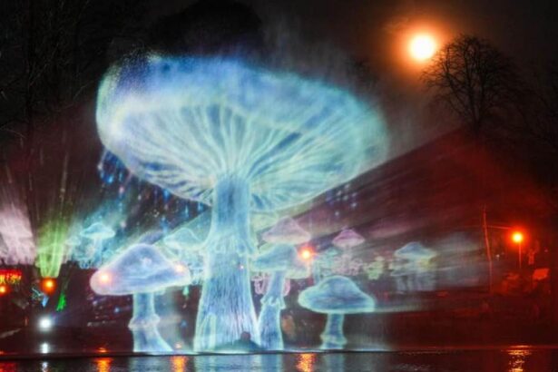 Targul de Paste 2026 de la Craiova Deschiderea oficiala a fost amanata din cauza ploii Imagini cu