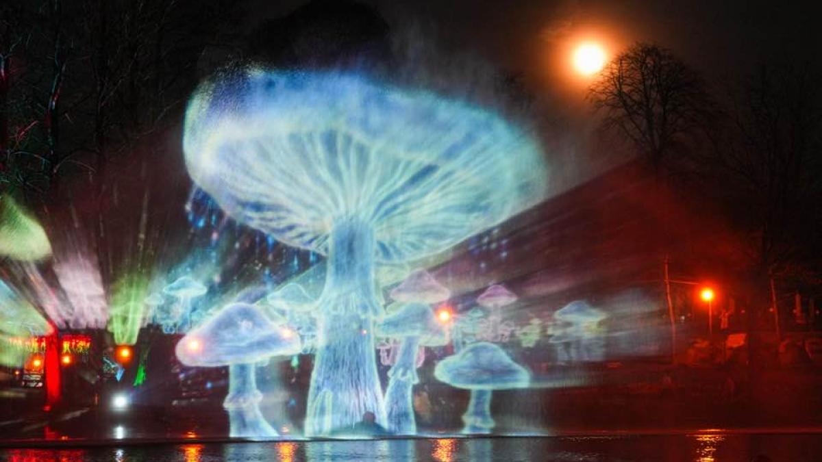 Targul de Paste 2026 de la Craiova Deschiderea oficiala a fost amanata din cauza ploii Imagini cu