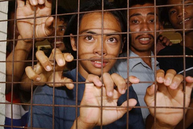 Tudorel Toader acuza Ministerul Afaceirilor Extern c nu dispune de voina necesar pentru a i ajuta pe cei trei romni condamnai n