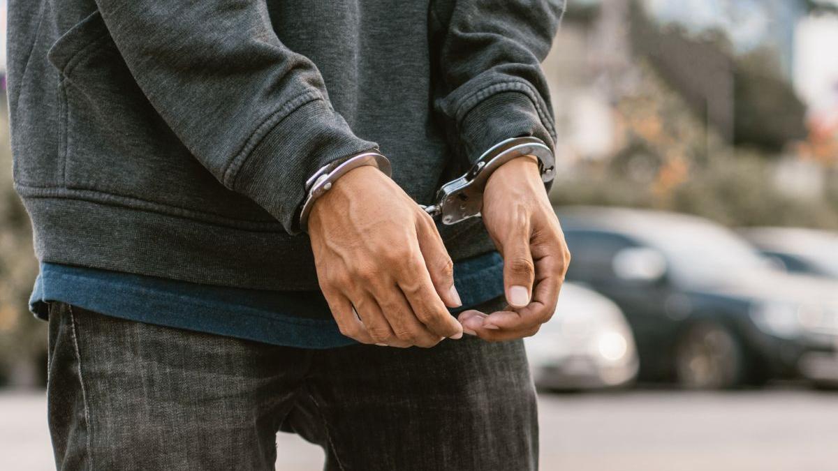 Un barbat in varsta de peste 70 de ani este incarcerat pentru ca a agresat brutal un caine