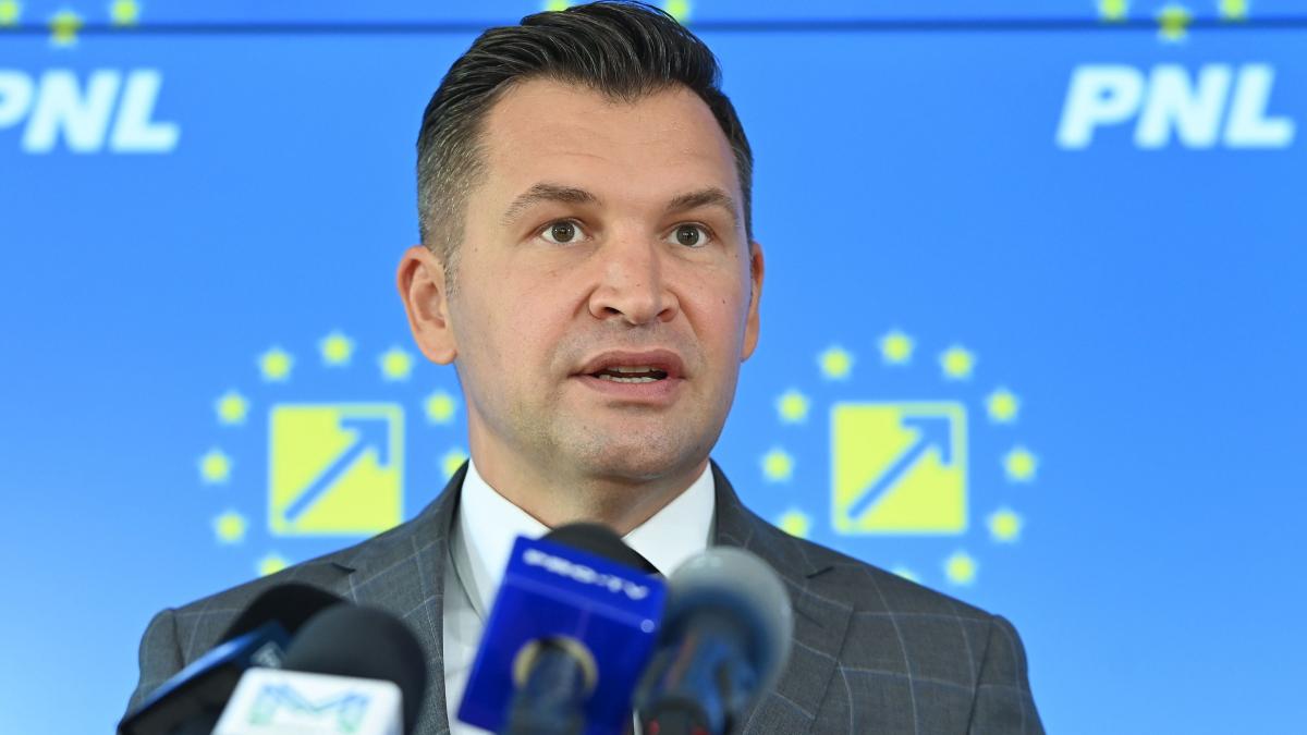 Un deputat PNL cere partidului sa faca pace cu PSD Nu ne putem permite un guvern in care