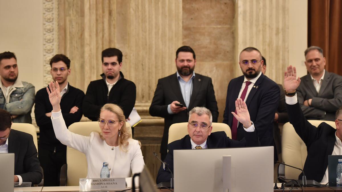 Un lider AUR recunoaste ca a votat impotriva unor legi de securitate fara a le citi Daca