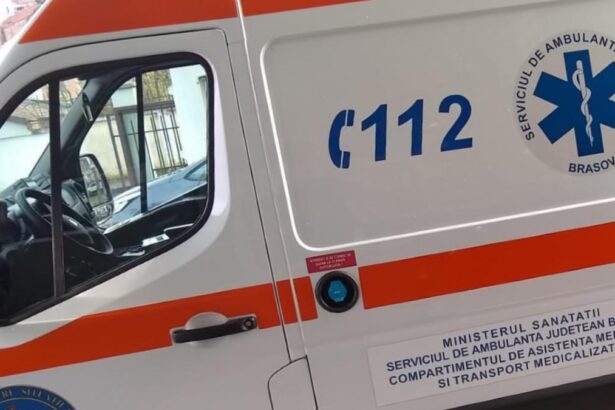 Un tanar de 19 ani a murit pe un camp din Timis dupa ce un utilaj de irigatie i a cazut in cap