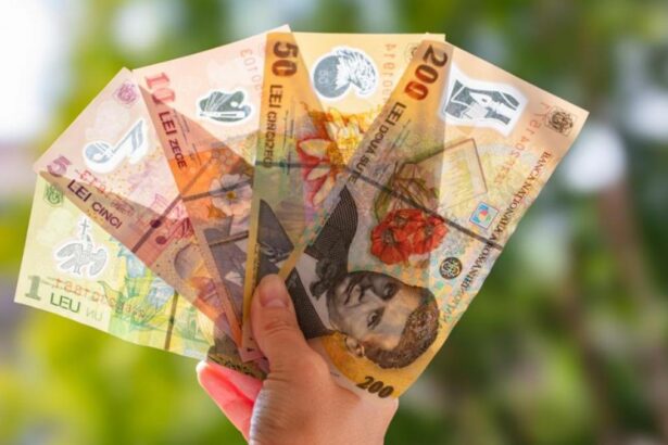 Valoarea tichetelor de cresa si a celor culturale va fi majorata Anuntul ministrului Finantelor