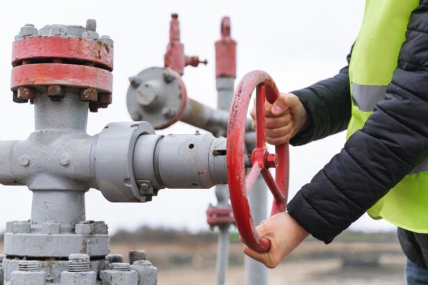 compania de stat aflata in faliment timp de 19 ani care a devenit un studiu de caz statul plateste