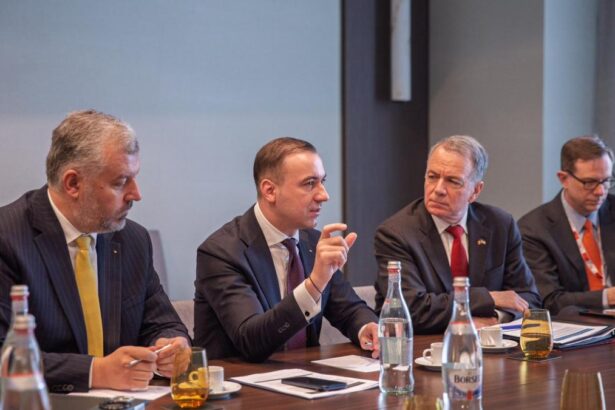 ministrul energiei romania este deja cel mai mare producator de gaze din uniunea europeana ivan subliniaza ca