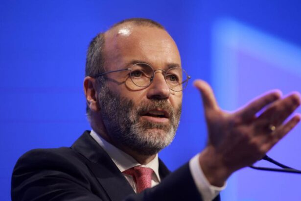 scandal in parlamentul european din cauza crizei politice din romania manfred weber a avut o disputa cu