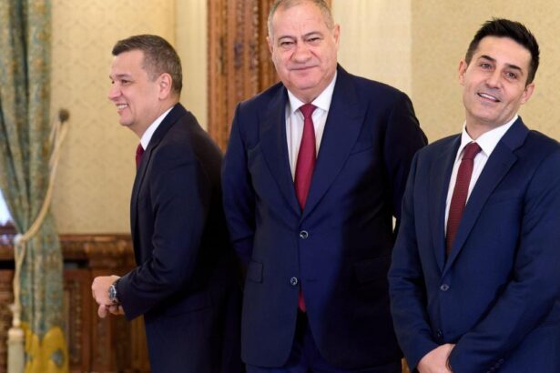 stenograme din sedinta PSD cum a fost primit parteneriatul cu AUR Nu conteaza culoarea pisicii