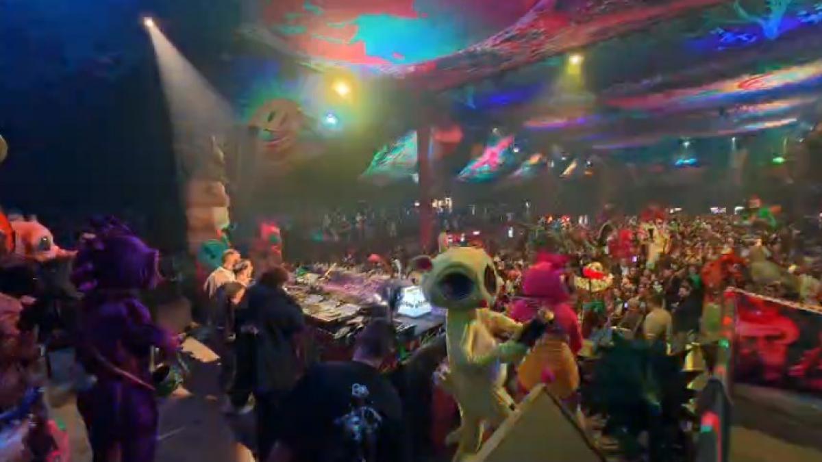 Imagini spectaculoase de la petrecerile de la mare de la sampania adusa cu roaba la focul de tabara
