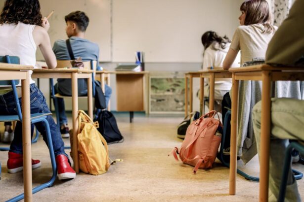 Ministerul Educatiei a aprobat 320 de noi programe de studiu pentru liceu