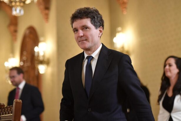 Nicusor Dan calatoreste in Armenia Va co prezida discutii despre democratie si amenintari hibride