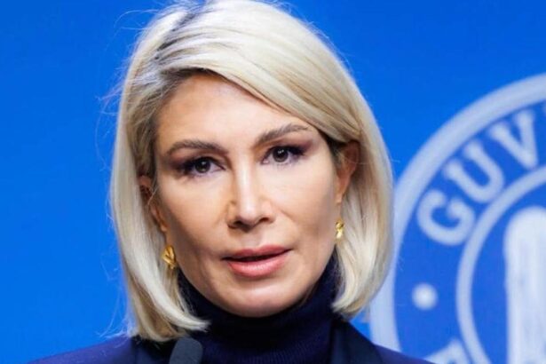 Raluca Turcan despre imaginea publica a PNL Am lasat impressia ca suntem la dispozitia PSD ca un
