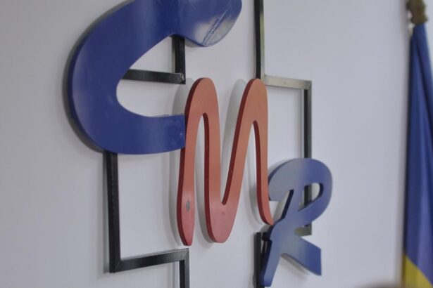 Un medic roman sustine ca un copil conceput in post are sanse mari sa moara Colegii Medicilor