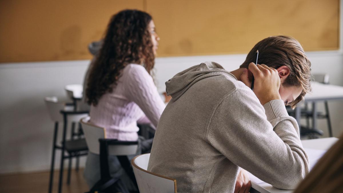 Astazi se publica temele de la Limba Romana pentru Bacalaureatul 2026