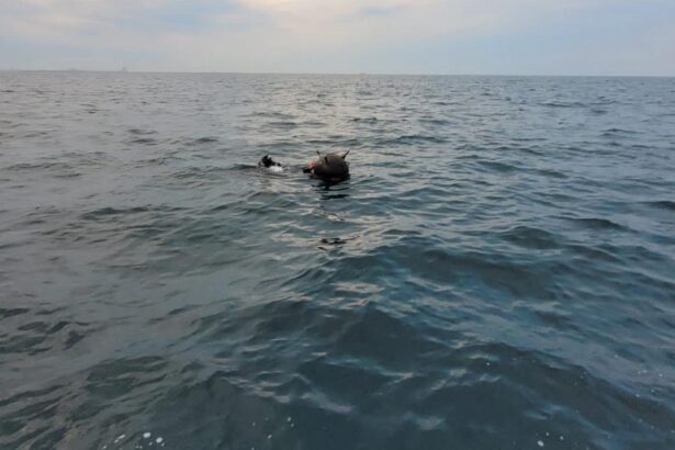 MAI achizitioneaza sisteme de detectie si monitorizare a dronelor maritime Romania testeaza de asemenea sistemul